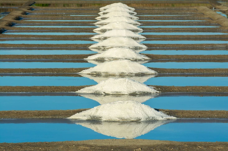 Illustration marais salants proche Guérande, Batz sur mer
